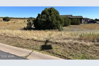 960 S Ridgecreek Lane, Unit 1B Lot 36 #1B Lot 36, Show Low, AZ 85901 - Photo 1