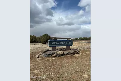 960 S Ridgecreek Lane, Unit 1B Lot 36 #1B Lot 36, Show Low, AZ 85901 - Photo 3