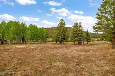 137 1120, Greer, AZ 85927 - Photo 21