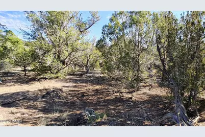 1849 Rocky Bottom Place, Show Low, AZ 85901 - Photo 5