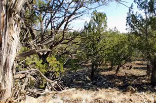 1849 Rocky Bottom Pl, Show Low, AZ 85901 - Photo 1