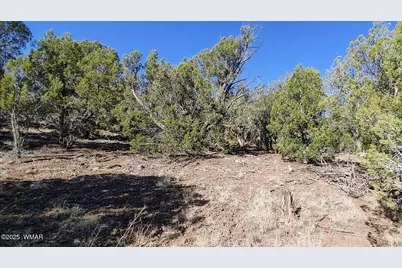 1849 Rocky Bottom Place, Show Low, AZ 85901 - Photo 3