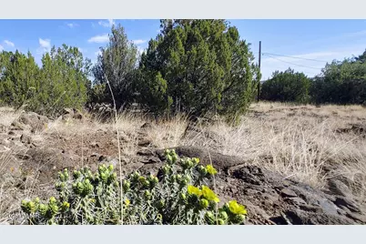 1799 Scott Place, Show Low, AZ 85901 - Photo 1