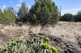 1799 Scott Pl, Show Low, AZ 85901 - Photo 1