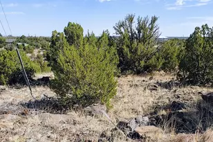 1794 Queen Crk Pl, Show Low, AZ 85901 - Photo 1