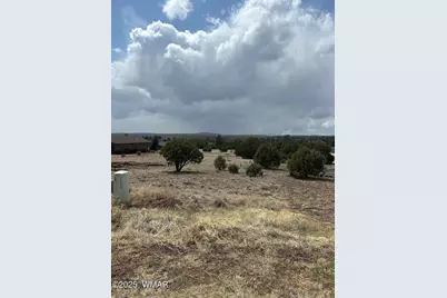 620 S Rock Ridge Drive, Unit 1A Lot 74 #1A Lot 74, Show Low, AZ 85901 - Photo 3