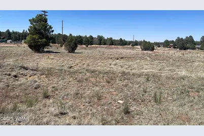 2278 Meadow Lane, Overgaard, AZ 85933 - Photo 1