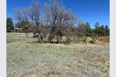 1301 Lakeside Trail, Unit Tl2 Lot 33 #TL2 Lot 33, Show Low, AZ 85901 - Photo 5