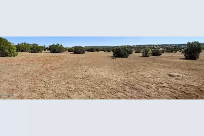 9142 Texas Lane, Show Low, AZ 85901 - Photo 3