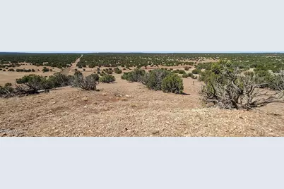 9182 Texas Lane, Show Low, AZ 85901 - Photo 3