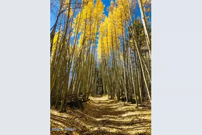 9578 Sierra Springs Drive, Pinetop, AZ 85935 - Photo 7