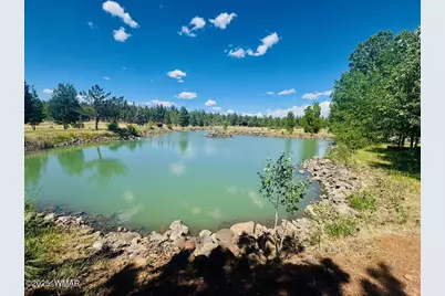 9578 Sierra Springs Drive, Pinetop, AZ 85935 - Photo 3