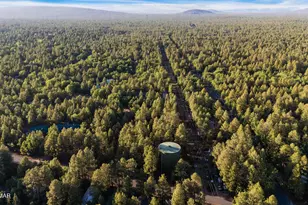 5468 Apache Trail, Pinetop, AZ 85935 - Photo 87