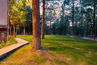5468 Apache Trail, Pinetop, AZ 85935 - Photo 11