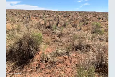 Tbd Chevron Creek Estates Lot 32, Joseph City, AZ 86032 - Photo 3