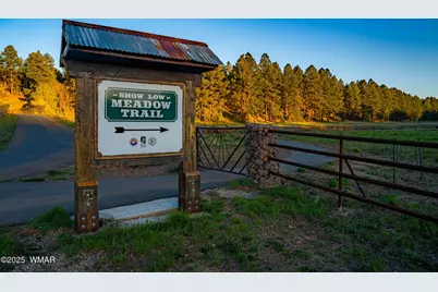 Tbd Lot 14 A Bonito Dr, Show Low, AZ 85901 - Photo 11