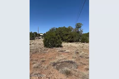 1860 Rainbow Circle, Show Low, AZ 85901 - Photo 1