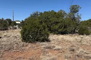 1860 Rainbow Cir, Show Low, AZ 85901 - Photo 1