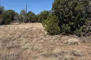 1858 Rainbow Cir, Show Low, AZ 85901 - Photo 1