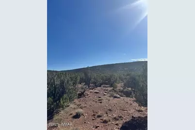 36 County Road N8487, Concho, AZ 85924 - Photo 7