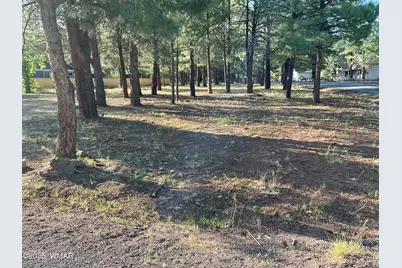 5151 Saddle Strap Way, Pinetop, AZ 85935 - Photo 7