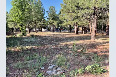 5151 Saddle Strap Way, Pinetop, AZ 85935 - Photo 3