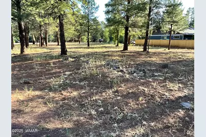 5151 Saddle Strap Way, Pinetop, AZ 85935 - Photo 1