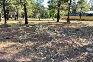 5151 Saddle Strap Way, Pinetop, AZ 85935 - Photo 1