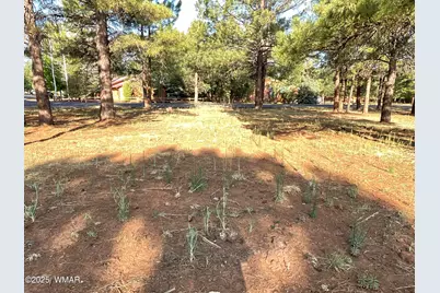 5151 Saddle Strap Way, Pinetop, AZ 85935 - Photo 5