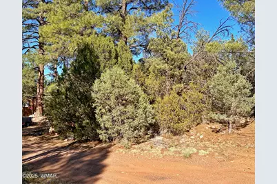 3377 Mogollon Drive, Overgaard, AZ 85933 - Photo 3