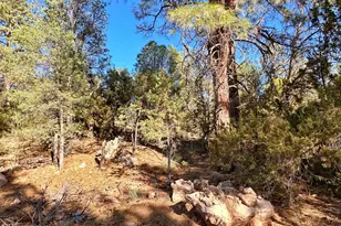 3377 Mogollon Dr, Overgaard, AZ 85933 - Photo 1