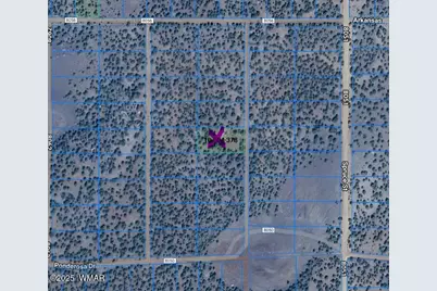 Tbd Cr 8115, Concho, AZ 85924 - Photo 1