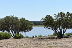 1949 Norton Pl, Show Low, AZ 85901 - Photo 23