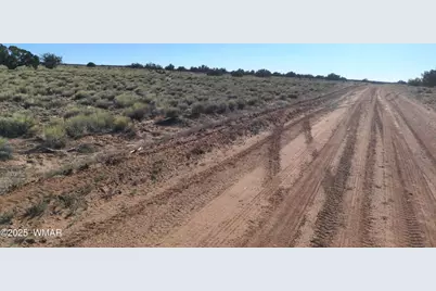 Lot 35 6718, Saint Johns, AZ 85936 - Photo 11