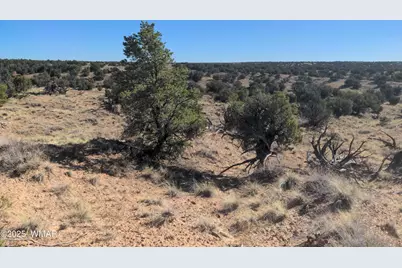 Lot 35 6718, Saint Johns, AZ 85936 - Photo 9