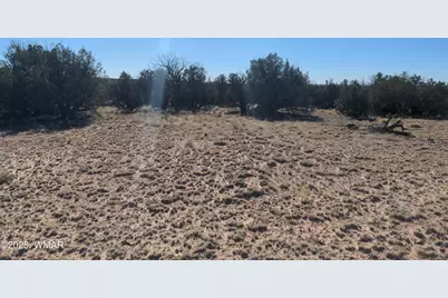 Lot 35 6718, Saint Johns, AZ 85936 - Photo 1