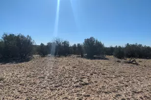 Lot 35 6718, Saint Johns, AZ 85936 - Photo 1