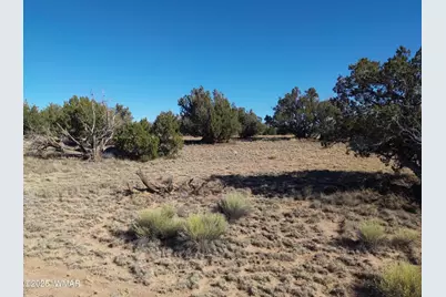 Lot 35 6718, Saint Johns, AZ 85936 - Photo 5