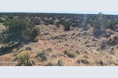 Lot 35 6718, Saint Johns, AZ 85936 - Photo 7