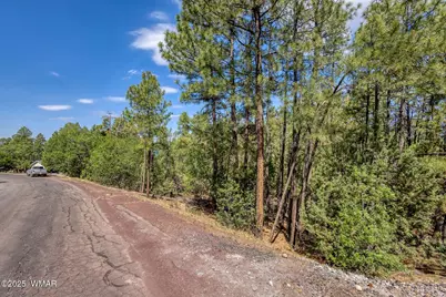 2038 Pine Wood Lane, Pinetop, AZ 85935 - Photo 15