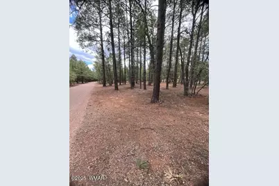 5480 Apache Trail, Pinetop, AZ 85935 - Photo 3