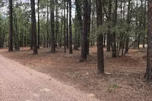 5480 Apache Trail, Pinetop, AZ 85935 - Photo 1