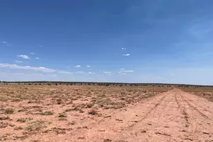 8191 E Concho Hwy Parcel C Unit Parcel C, Snowflake, AZ 85937 - Photo 1