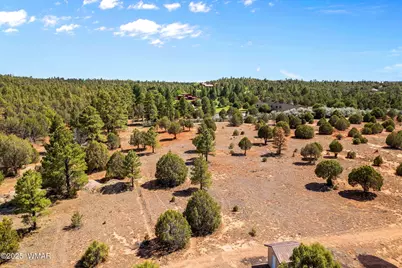 Xxxxx Iron Spur, Show Low, AZ 85901 - Photo 5