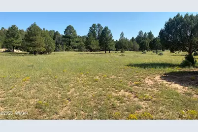 Xxxxx Iron Spur, Show Low, AZ 85901 - Photo 3