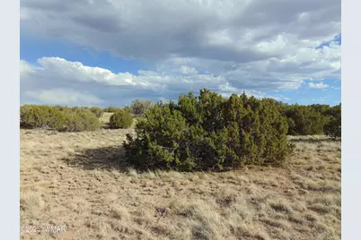 38 Gila Drive, Concho, AZ 85924 - Photo 9