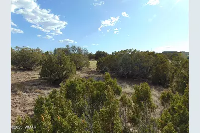38 Gila Drive, Concho, AZ 85924 - Photo 15