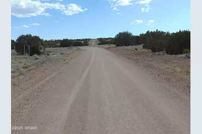 38 Gila Drive, Concho, AZ 85924 - Photo 17