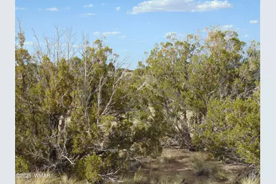 38 Gila Drive, Concho, AZ 85924 - Photo 5