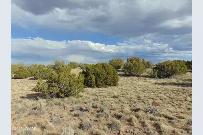 38 Gila Drive, Concho, AZ 85924 - Photo 1